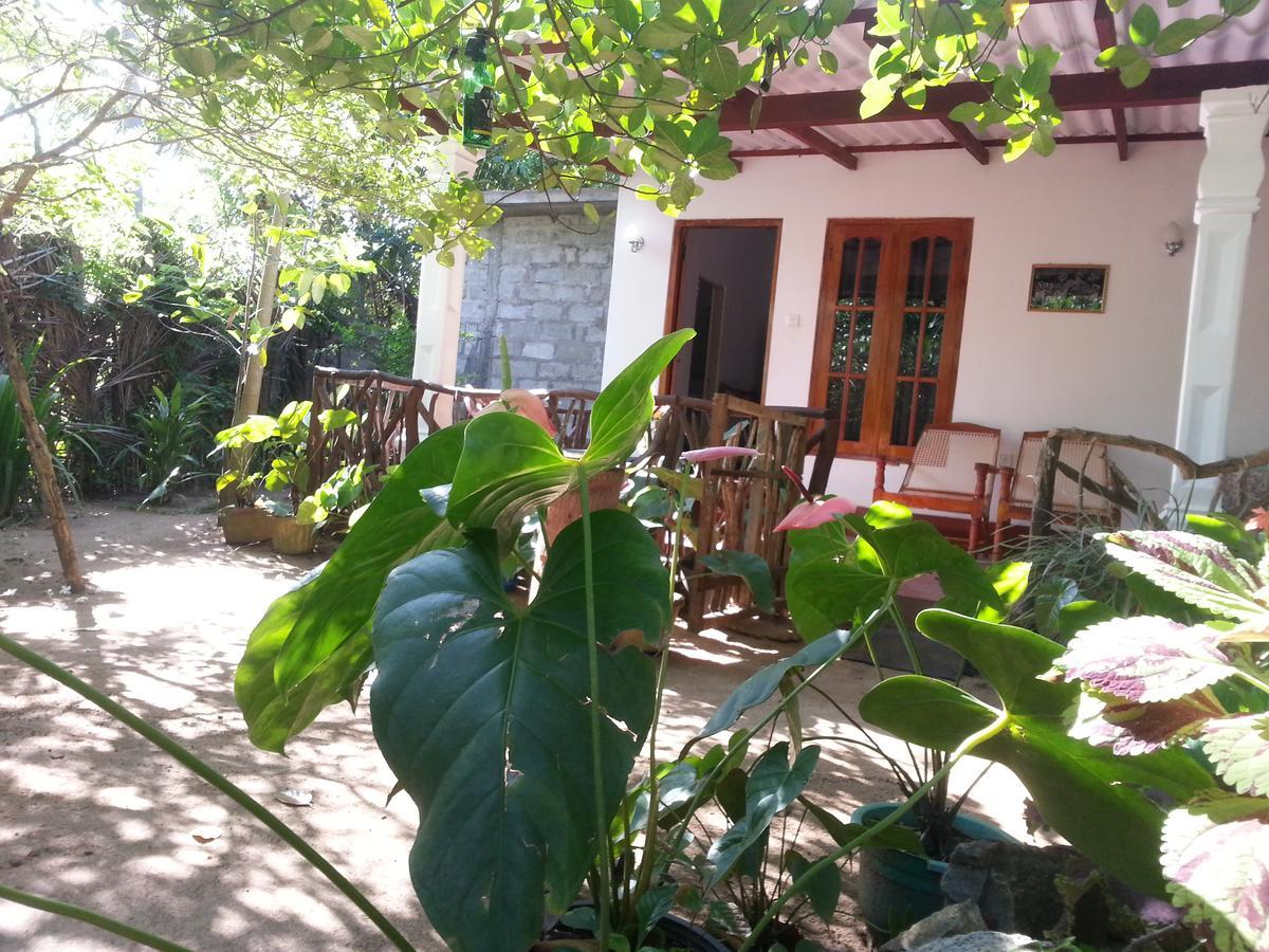 Sigiri Sansi Homestay Sigiriya Esterno foto